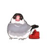 _17meisai23's profile picture. お絵かき、ソシャゲ垢、/とりとチーズケーキが好き ■お仕事のご相談ありましたらこちらにお願いします。nari.teshima.2721●https://t.co/jJB1mvX7Z8