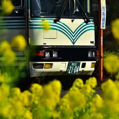 setouti1986's profile picture. 楽しい旅のお手伝い