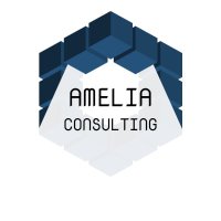 Amelia Consulting Agency ( Social Media)(@AgencyAmelia) 's Twitter Profile Photo