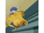 thick's profile image