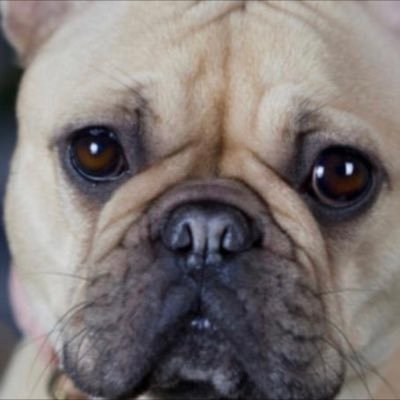 maddie12231's profile picture. Happy Active with my friends Talkable