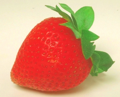 sidemenu7's profile picture. 