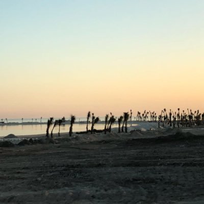 BalweNaifa's profile picture. معلمة رياضيات لدي طموح أسعى لتحقيقه 🌹ومدرب معتمد 🌸وكل شيء بلطف الله يكون،،،. ❤️ أمي غلفي لي دعاء جميل يشبهك فمالي غير دعائك يسعدني ..