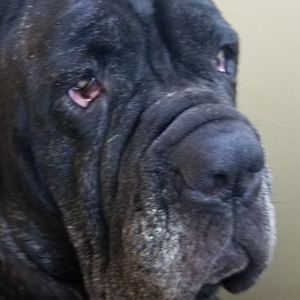 TerchRick's profile picture. 