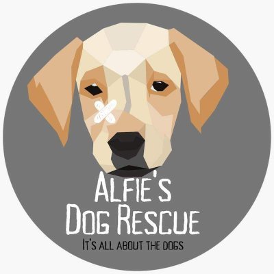 nonprofit organisation dedicated to rescuing dogs and puppies in life threatening situations. helping dogs in the UK and in Europe