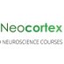 Neocortex - Psychology & Neuroscience (@neocortexcourse) Twitter profile photo Neocortex - Psychology & Neuroscience (@neocortexcourse) Twitter profile photo