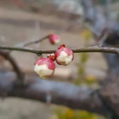 yn5835's profile picture. 자유인