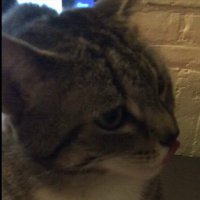 Zhenghao Hu (@highw4y2h3ll) 's Twitter Profile