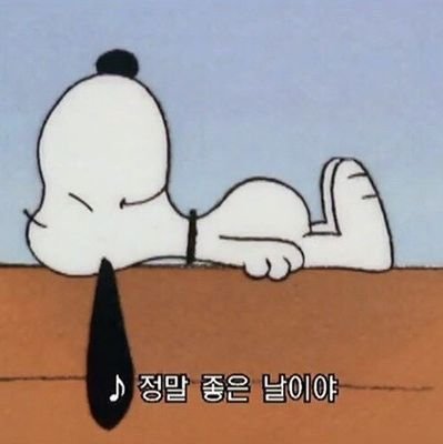 정원さんのプロフィール画像