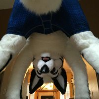 Vond (@vondwolf) 's Twitter Profile