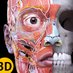 Anatomy 3D Atlas (@atlasofanatomy) Twitter profile photo Anatomy 3D Atlas (@atlasofanatomy) Twitter profile photo