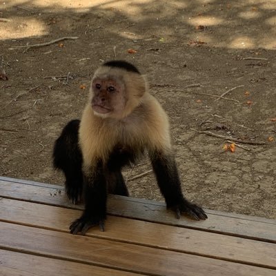 jk2cbus's profile picture. 