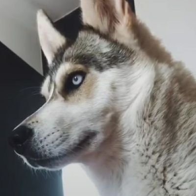 Guille1379's profile picture. 