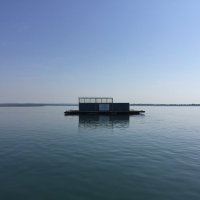 Langstonewaterski (@haylingwaterski) 's Twitter Profile Photo