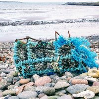 Louise Barry (@louhbarry) 's Twitter Profile