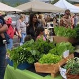 Vibrant summer Friday evening Farmers Market, 4 - 8 pm, on Main Street in downtown Sicamous. Minutes from Hwy. 1 & Hwy. 97 a, and steps to Shuswap Lake