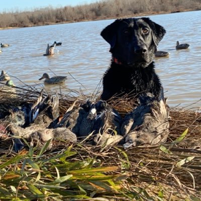 sheley_craig's profile picture. 