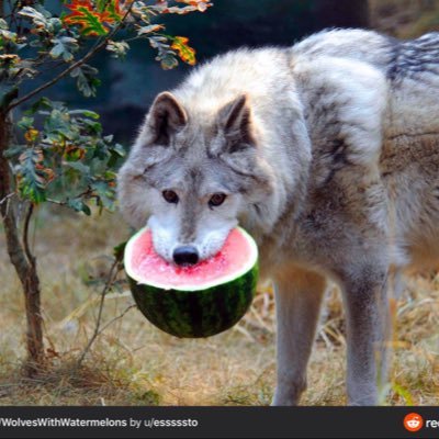 Noelle89178750's profile picture. 21 years of old