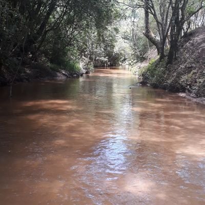 Gusbentos's profile picture. 