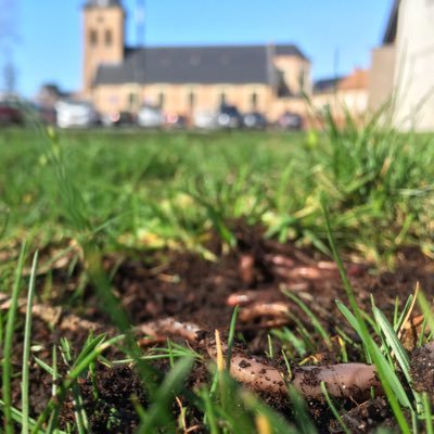 Promoting healthy soil biodiversity, soil worms and the use of vermicompost. Focussing on constructive and positive developments in nature and sustainability.