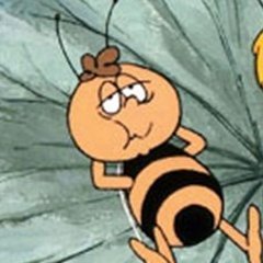 314chler's profile picture. 