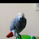 Chuck Sellers - @chucksel52 - Twitter