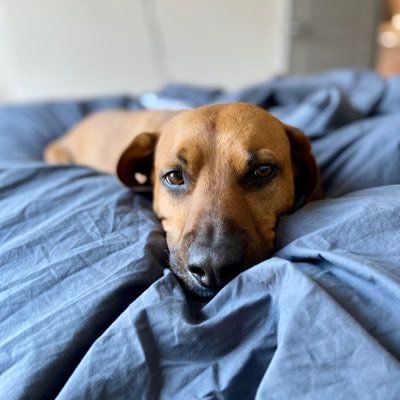 aquiparate's profile picture. 