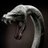 alawiQ8's profile image