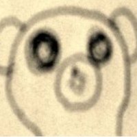 なかむー (@nakamu01) 's Twitter Profile