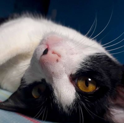 hello, you !