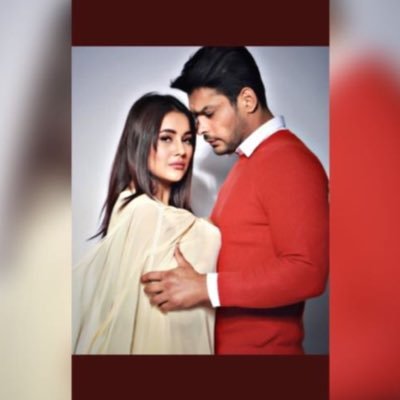 sidnaazdifan's profile picture. Just a fan girl of SidNaaz from US || Haters stay away || Mere do gadhas #ShehnaazGill and #SidharthShukla ||