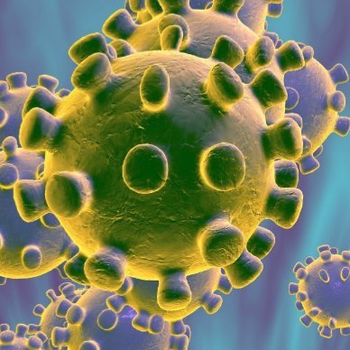 NeveAzul4's profile picture. Pacman en 2020 :)