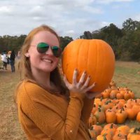 Lauren Salisbury (@l_t_salisbury) 's Twitter Profile
