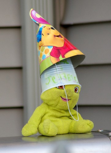 kellythomas55's profile picture. 