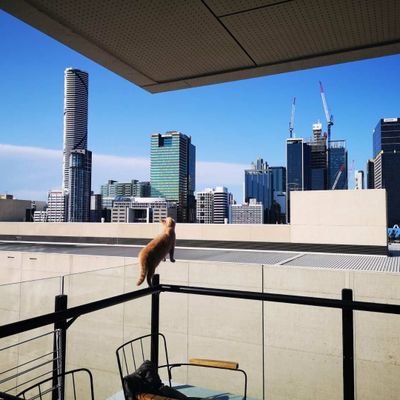 s_bne_'s profile picture. 