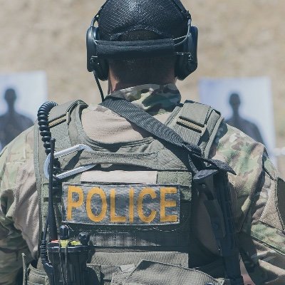 wildpayton's profile picture. 