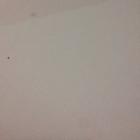 Frot Tripper (@frottripperxxx) 's Twitter Profile