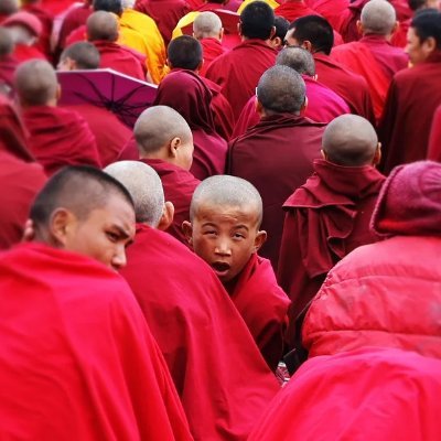 xiaoximimengqi's profile picture. 