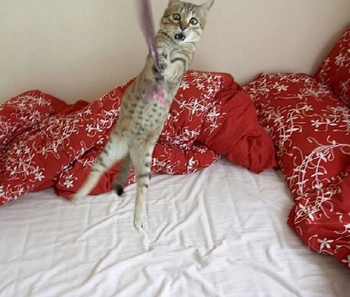 lisaspiller's profile picture. Customer Success Manager at HarperCollins. Likes reading horrors and thrillers and watching rubbish TV. Tweets and views are my own.