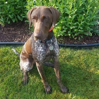 cjerdon96's profile picture. 