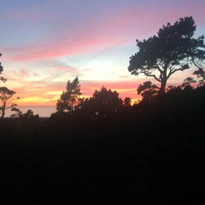 JimAtwell1950's profile picture. 