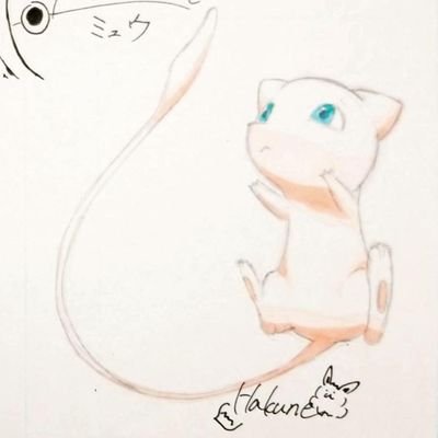 白音さんのプロフィール画像