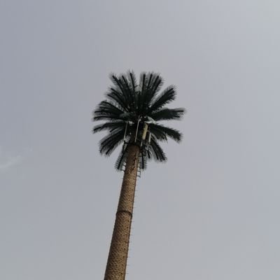 انشر كل ما هو مفيد وجديد (ما عليك إلا أن تتأمل وتتدبر)