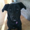 Alana Olson - @aolson1229 - Twitter