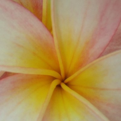 ssharma8488's profile picture. 