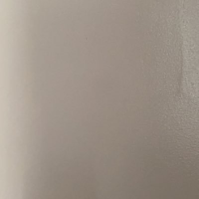 fino_77's profile picture. EU CANTO EU SOU PALMEIRAS ATÈ MORRER!