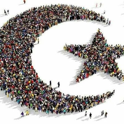 Borkall1's profile picture. 