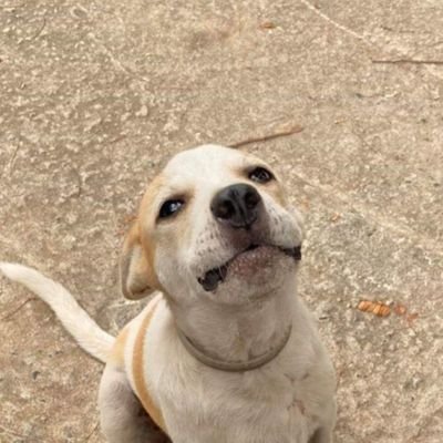 oh_ploi's profile picture. 