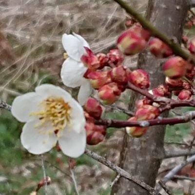 気の向くまま、風の吹くままに行く。