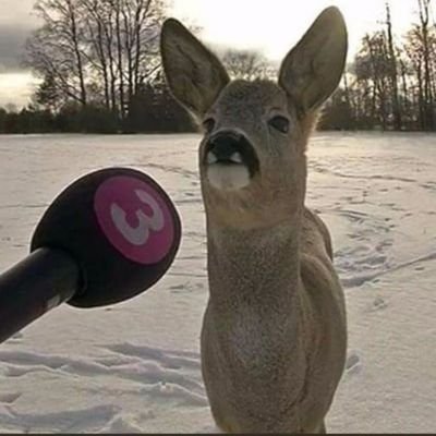 OsimNisam's profile picture. 